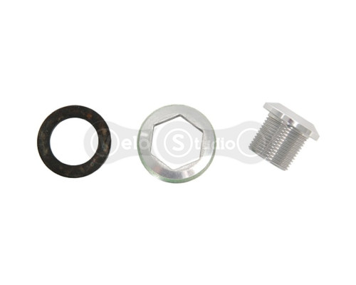 Болт шатунов Truvativ Crank Arm Bolt Self-Extr M15/M26 GXP Silver