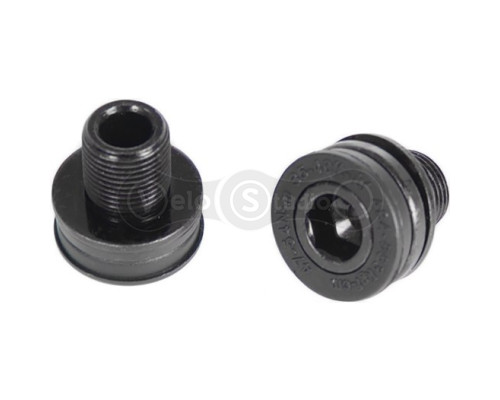 Болт шатунів Truvativ CRANK ARM BOLTS M12 CAPLESS HWTZR QTY2