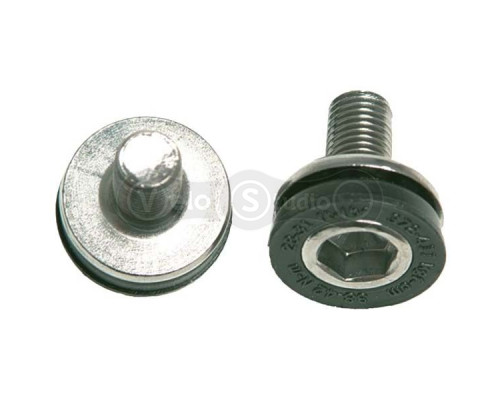 Болт шатунів Truvativ CRANKARM BOLTS M8 CAPLESS SQ&PS