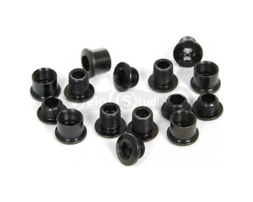 Болти для зірок Truvativ 5STEEL/STBLACK/BLACK