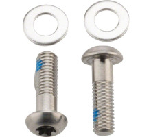 Болты SRAM Titanium Flat Mount Disc Caliper Bracket Bolts (17mm)