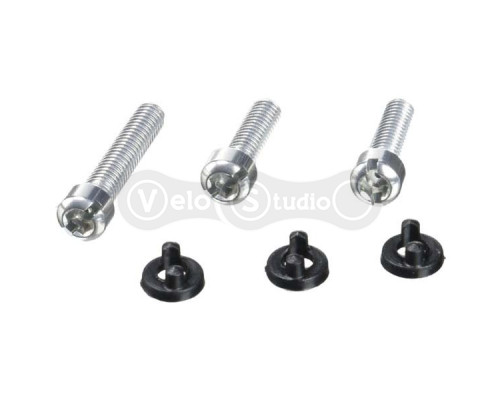 Сервисные запчасти Sram X0 DH 10SP RD SLV B-SCREW/LIMIT SCREW KIT