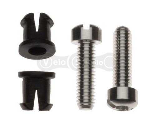 Сервисные запчасти Sram X0 RD LIMIT SCREWS