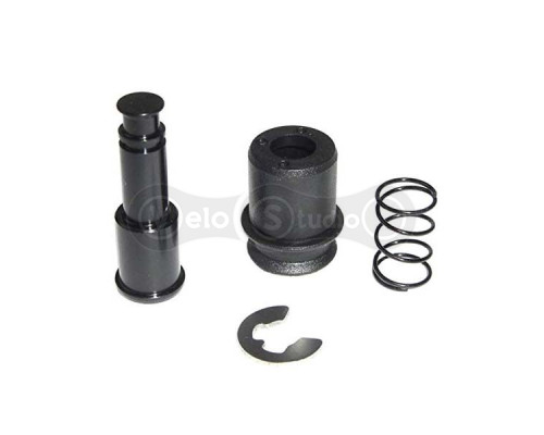 Сервисные запчасти Sram XX1/X01 EAGLE CAGELOCK W/SPRING GLD