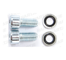 Сервисный комплект Rock Shox SHAFT FASTENER KIT PARG A1