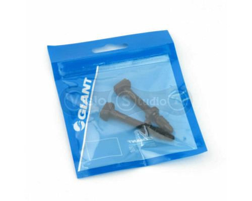 Безкамерний ніпель Giant Tubeless Valve 40 мм 2 шт алюмінієвий чорний