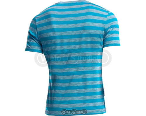 Термофутболка Icebreaker BF 150 Anatomica SS V stripe alpine/metro L