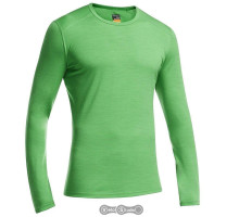 Термофутболка Icebreaker BF 200 Oasis LS Crewe Men balsam L