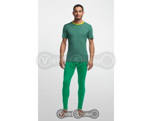 Термофутболка Icebreaker BF 200 Oasis SS Crewe Men bottle/snow/chartreus L