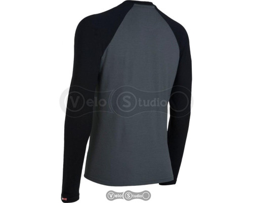 Термофутболка Icebreaker BF 260 LS Crewe Men charcoal/black L