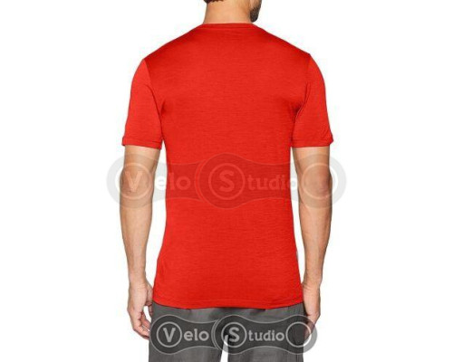 Термофутболка Icebreaker Tech Lite SS