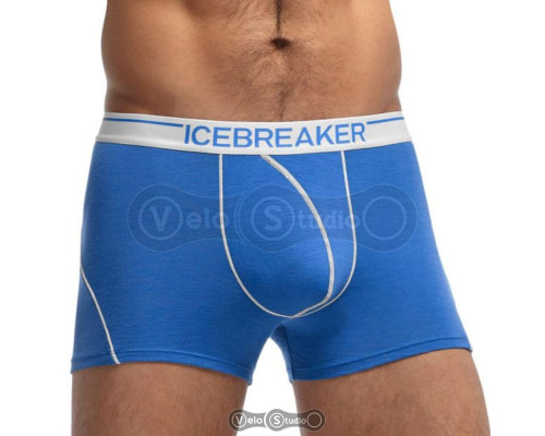 Термотрусы Icebreaker BF 150 Anatomica Boxer cadet/white S