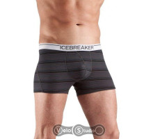 Термотрусы Icebreaker BF 150 Anatomica Boxer stripe monsoon/white S