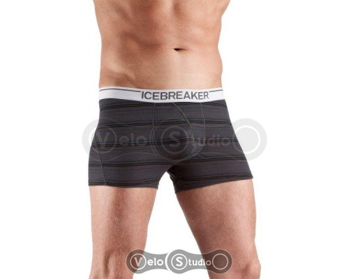 Термотрусы Icebreaker BF 150 Anatomica Boxer stripe monsoon/white S