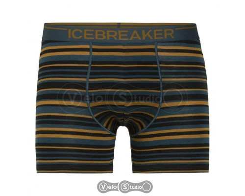 Труси Icebreaker Anatomica Boxers Curry S