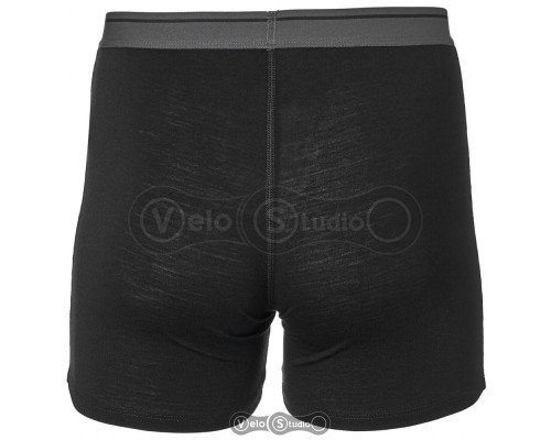 Труси Icebreaker Anatomica Boxers Men Black S