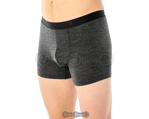 Трусы Icebreaker Anatomica Cool-Lite Mens Black HTHR S