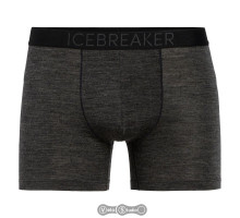 Труси Icebreaker Anatomica Cool-Lite Mens Black HTHR S