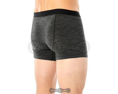 Трусы Icebreaker Anatomica Cool-Lite Mens Black HTHR S