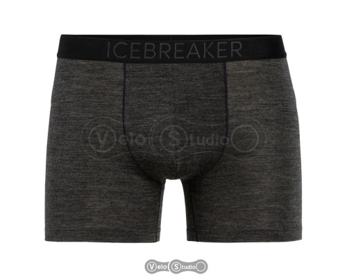 Трусы Icebreaker Anatomica Cool-Lite Mens Black HTHR S