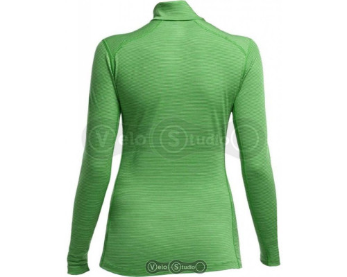 Термокофта Icebreaker BF 200 Oasis LS Half Zip Stripe WMN frond M