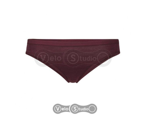 Термотруси Icebreaker Siren Bikini WMN Redwood XS